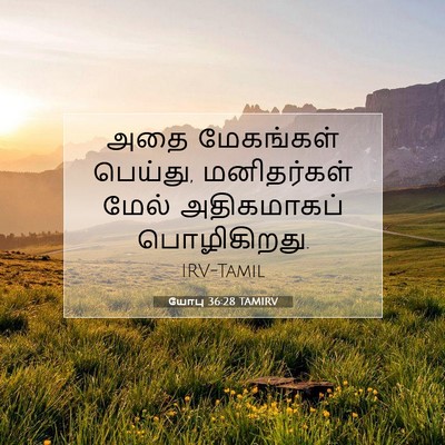 Picture 07 - யோபு 36:28 TAMIRV - அதை மேகங்கள் - Bible Verse Picture
