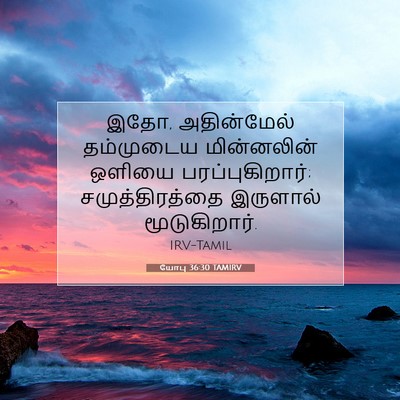 Picture 07 - யோபு 36:30 TAMIRV - இதோ, அதின்மேல் - Bible Verse Picture