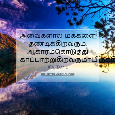Picture 07 - யோபு 36:31 TAMIRV - அவைகளால் மக்களை - Bible Verse Picture