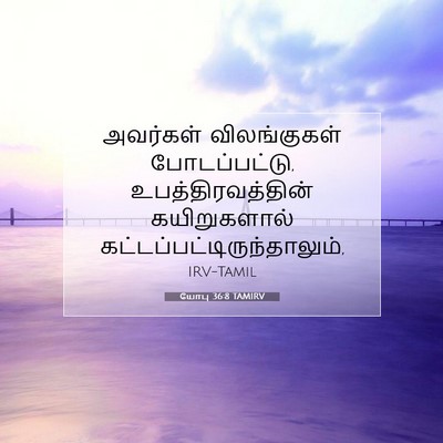 Picture 07 - யோபு 36:8 TAMIRV - அவர்கள் - Bible Verse Picture