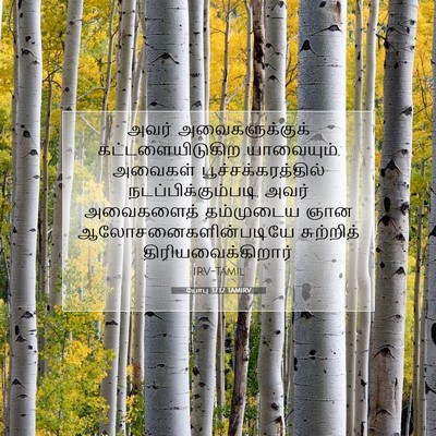 Picture 07 - யோபு 37:12 TAMIRV - அவர் அவைகளுக்குக் - Bible Verse Picture