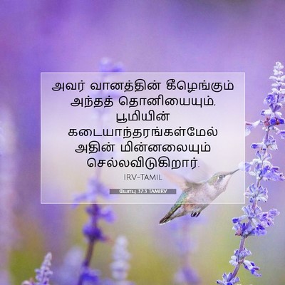Picture 07 - யோபு 37:3 TAMIRV - அவர் வானத்தின் - Bible Verse Picture