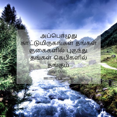 Picture 07 - யோபு 37:8 TAMIRV - அப்பொழுது - Bible Verse Picture