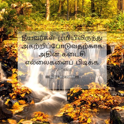 Picture 07 - யோபு 38:12 TAMIRV - தீயவர்கள் - Bible Verse Picture