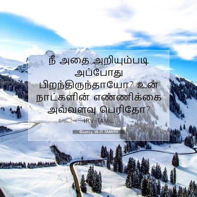 Picture 07 - யோபு 38:21 TAMIRV - நீ அதை அறியும்படி - Bible Verse Picture