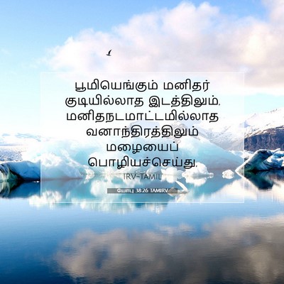 Picture 07 - யோபு 38:26 TAMIRV - பூமியெங்கும் - Bible Verse Picture