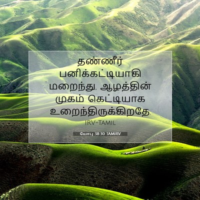 Picture 07 - யோபு 38:30 TAMIRV - தண்ணீர் - Bible Verse Picture