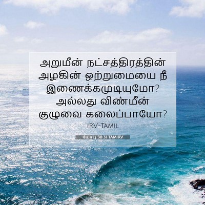 Picture 07 - யோபு 38:31 TAMIRV - அறுமீன் - Bible Verse Picture