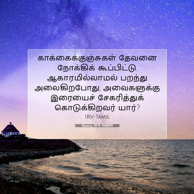 Picture 07 - யோபு 38:41 TAMIRV -  - Bible Verse Picture