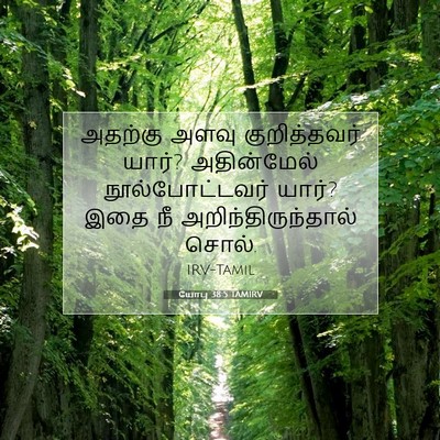 Picture 07 - யோபு 38:5 TAMIRV - அதற்கு அளவு - Bible Verse Picture