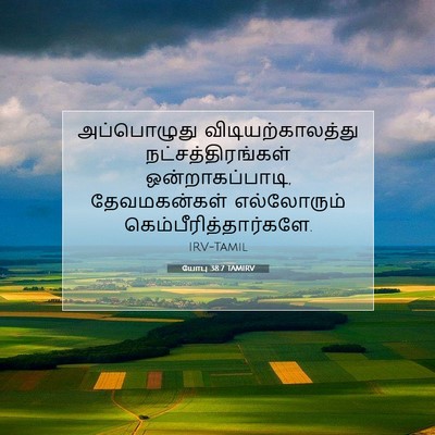 Picture 07 - யோபு 38:7 TAMIRV - அப்பொழுது - Bible Verse Picture