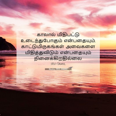 Picture 07 - யோபு 39:15 TAMIRV - காலால் மிதிபட்டு - Bible Verse Picture