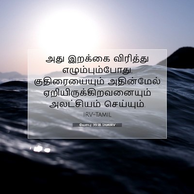 Picture 07 - யோபு 39:18 TAMIRV - அது இறக்கை - Bible Verse Picture