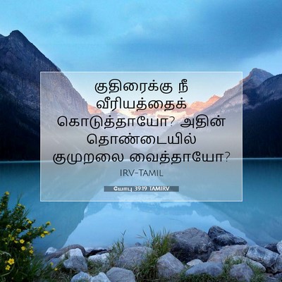 Picture 07 - யோபு 39:19 TAMIRV - குதிரைக்கு நீ - Bible Verse Picture