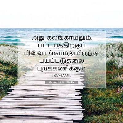 Picture 07 - யோபு 39:22 TAMIRV - அது கலங்காமலும், - Bible Verse Picture