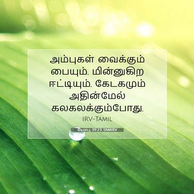 Picture 07 - யோபு 39:23 TAMIRV - அம்புகள் வைக்கும் - Bible Verse Picture
