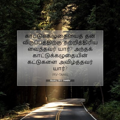 Picture 07 - யோபு 39:5 TAMIRV -  - Bible Verse Picture