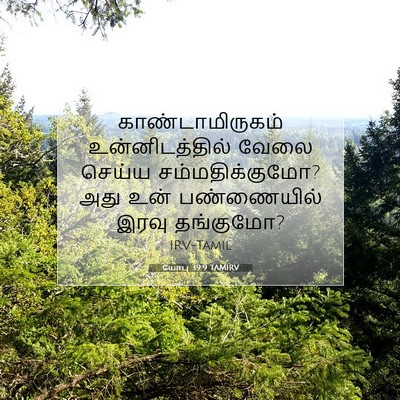 Picture 07 - யோபு 39:9 TAMIRV - காண்டாமிருகம் - Bible Verse Picture