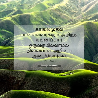 Picture 07 - யோபு 4:20 TAMIRV - காலைமுதல் - Bible Verse Picture