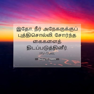 Picture 07 - யோபு 4:3 TAMIRV - இதோ, நீர் - Bible Verse Picture