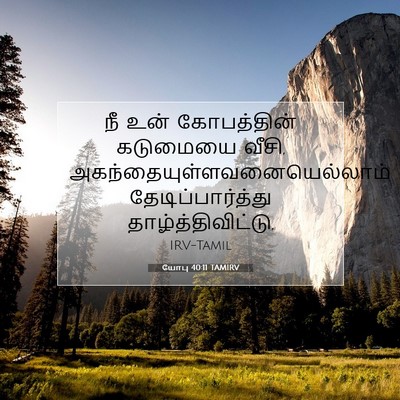 Picture 07 - யோபு 40:11 TAMIRV - நீ உன் கோபத்தின் - Bible Verse Picture