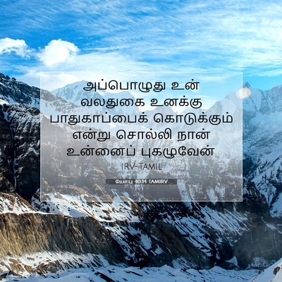 Picture 07 - யோபு 40:14 TAMIRV - அப்பொழுது உன் - Bible Verse Picture