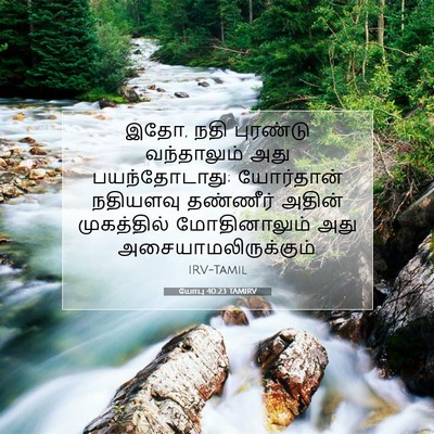 Picture 07 - யோபு 40:23 TAMIRV - இதோ, நதி புரண்டு - Bible Verse Picture