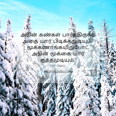 Picture 07 - யோபு 40:24 TAMIRV - அதின் கண்கள் - Bible Verse Picture