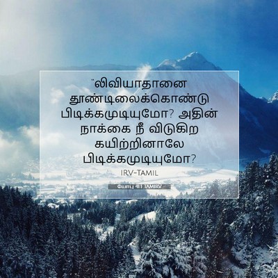 Picture 07 - யோபு 41:1 TAMIRV - “லிவியாதானை - Bible Verse Picture