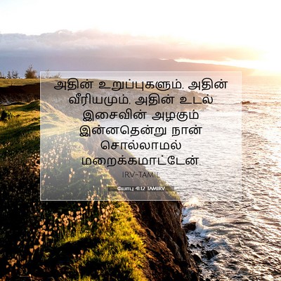 Picture 07 - யோபு 41:12 TAMIRV - அதின் - Bible Verse Picture