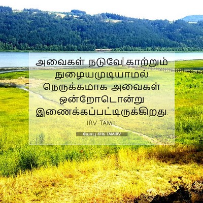 Picture 07 - யோபு 41:16 TAMIRV - அவைகள் நடுவே - Bible Verse Picture