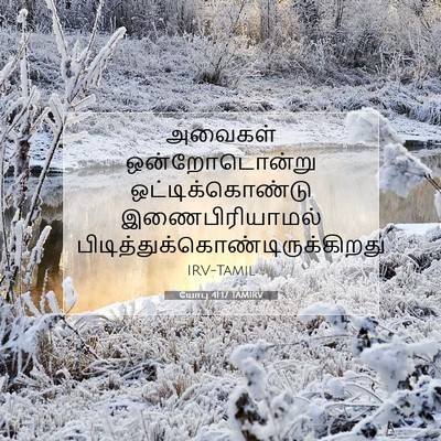 Picture 07 - யோபு 41:17 TAMIRV - அவைகள் - Bible Verse Picture