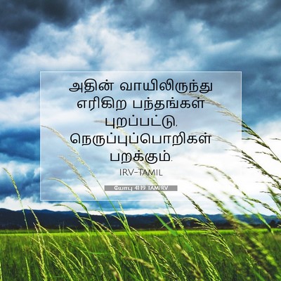 Picture 07 - யோபு 41:19 TAMIRV - அதின் - Bible Verse Picture