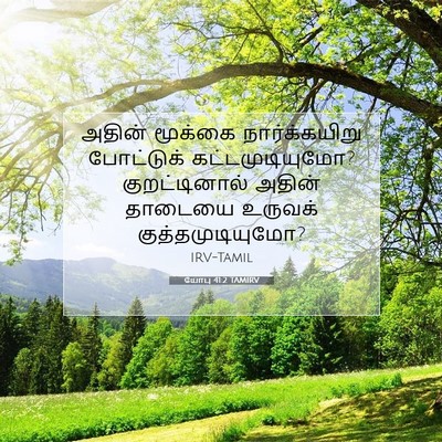 Picture 07 - யோபு 41:2 TAMIRV - அதின் மூக்கை - Bible Verse Picture