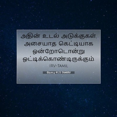 Picture 07 - யோபு 41:23 TAMIRV - அதின் உடல் - Bible Verse Picture