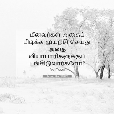 Picture 07 - யோபு 41:6 TAMIRV - மீனவர்கள் அதைப் - Bible Verse Picture