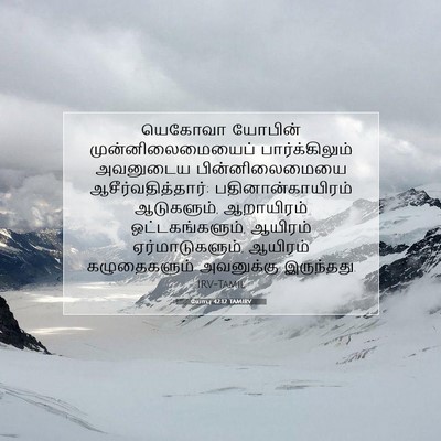 Picture 07 - யோபு 42:12 TAMIRV - யெகோவா யோபின் - Bible Verse Picture