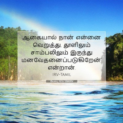 Picture 07 - யோபு 42:6 TAMIRV - ஆகையால் நான் - Bible Verse Picture