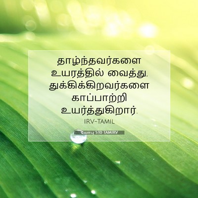Picture 07 - யோபு 5:10 TAMIRV - தாழ்ந்தவர்களை - Bible Verse Picture