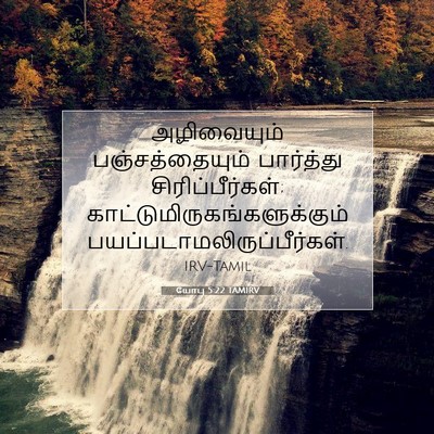 Picture 07 - யோபு 5:22 TAMIRV - அழிவையும் - Bible Verse Picture