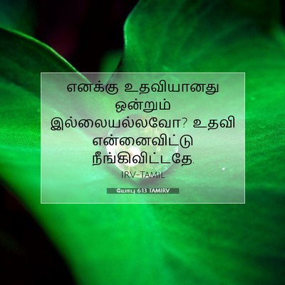 Picture 07 - யோபு 6:13 TAMIRV - எனக்கு உதவியானது - Bible Verse Picture
