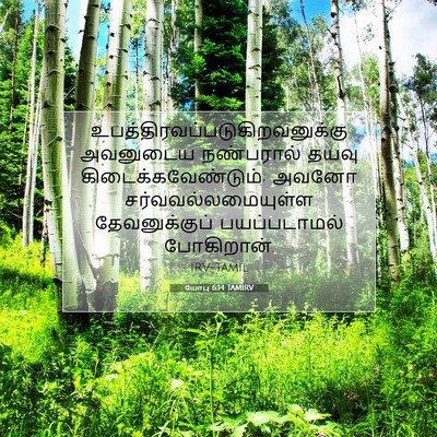 Picture 07 - யோபு 6:14 TAMIRV -  - Bible Verse Picture