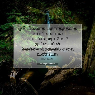 Picture 07 - யோபு 6:6 TAMIRV - ருசியில்லாத - Bible Verse Picture