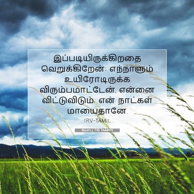 Picture 07 - யோபு 7:16 TAMIRV -  - Bible Verse Picture