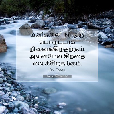 Picture 07 - யோபு 7:17 TAMIRV - மனிதனை நீர் ஒரு - Bible Verse Picture