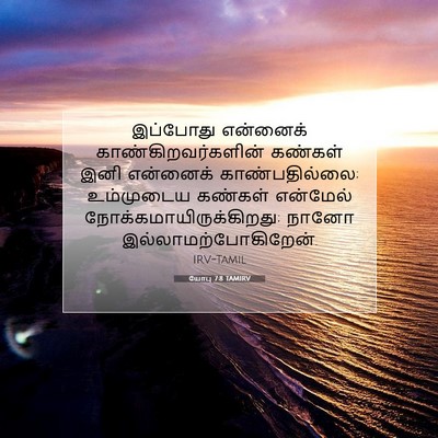 Picture 07 - யோபு 7:8 TAMIRV - இப்போது என்னைக் - Bible Verse Picture