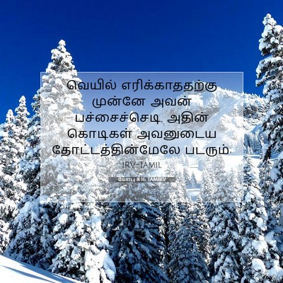 Picture 07 - யோபு 8:16 TAMIRV - வெயில் - Bible Verse Picture