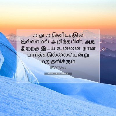 Picture 07 - யோபு 8:18 TAMIRV - அது அதினிடத்தில் - Bible Verse Picture
