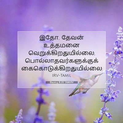 Picture 07 - யோபு 8:20 TAMIRV - இதோ, தேவன் உத்தமனை - Bible Verse Picture