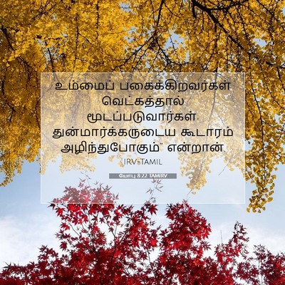 Picture 07 - யோபு 8:22 TAMIRV - உம்மைப் - Bible Verse Picture